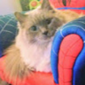 Meet your Posher, Curt & heather